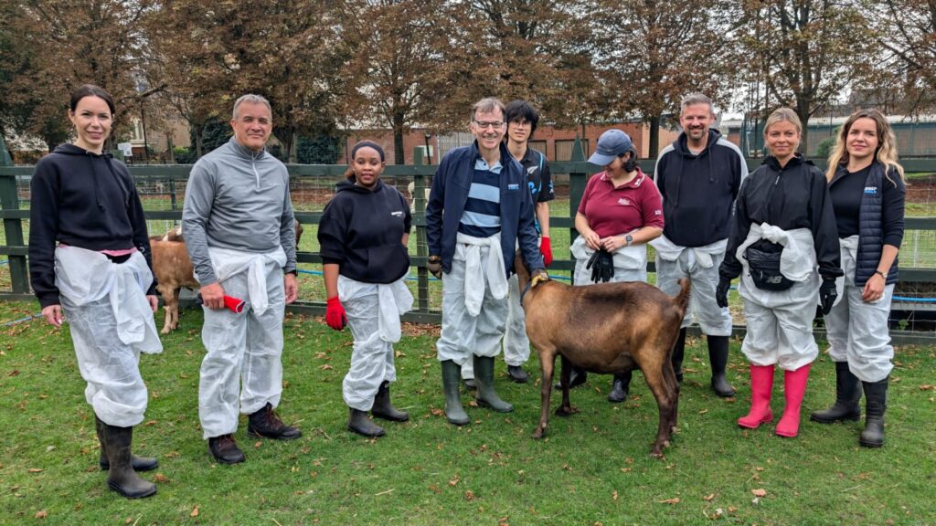 Hackney farm volunteer