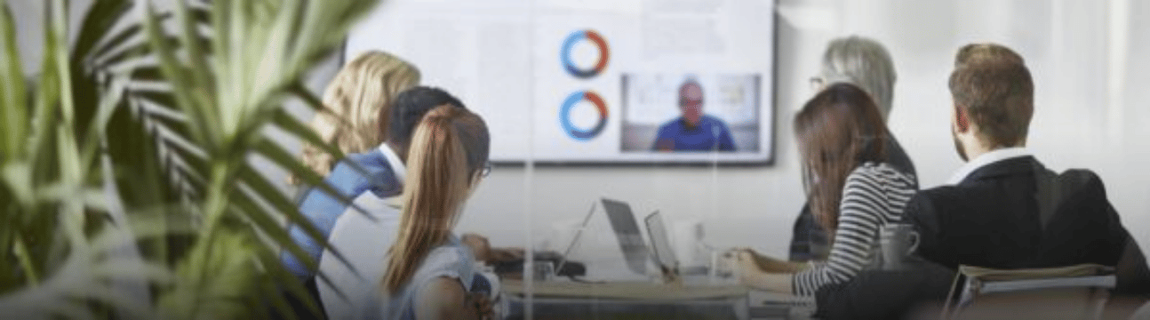 Male and Female Executive Team Video Conferencing with CEO